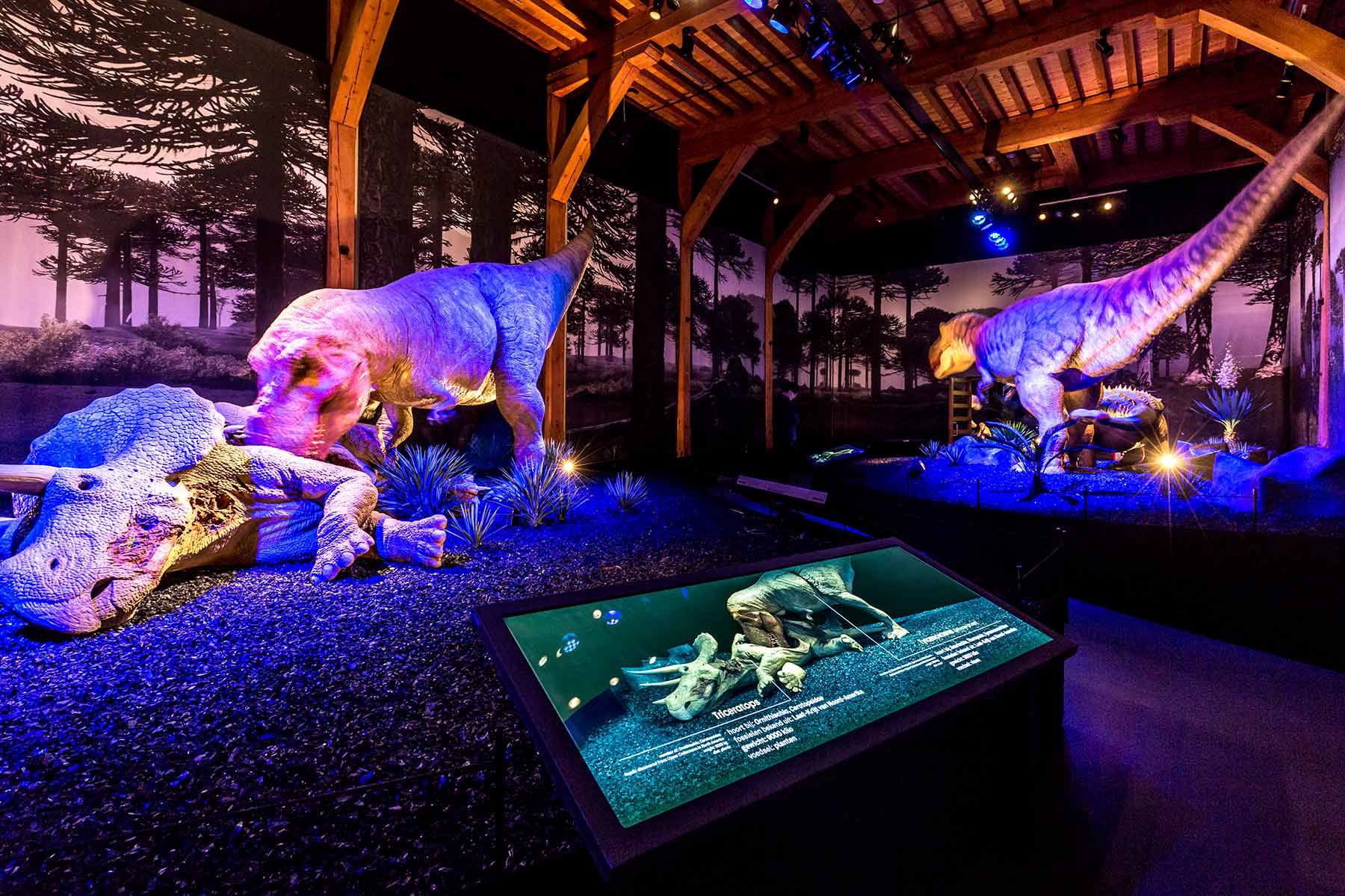 T-rex in Town - Naturalis