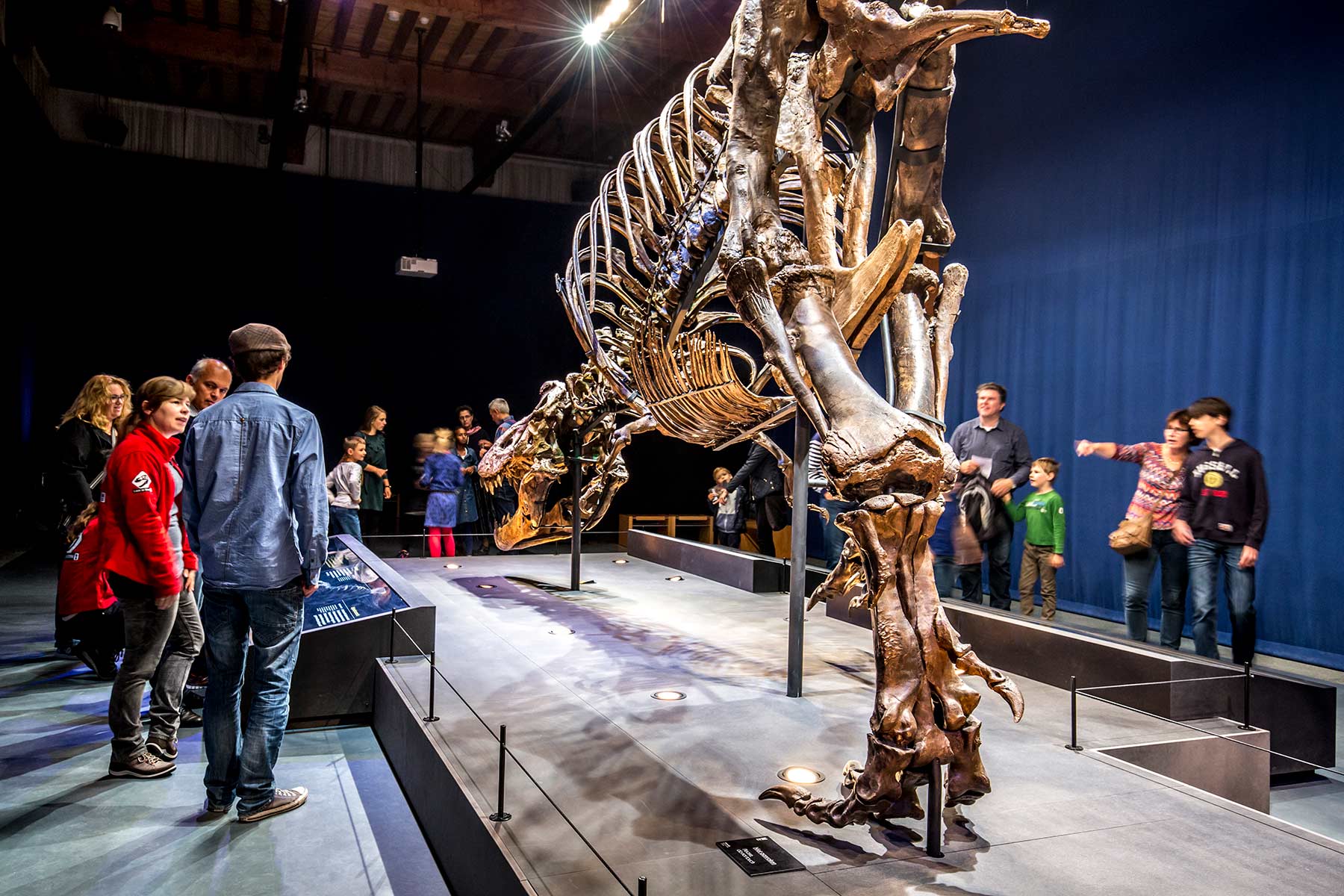 T-rex in Town - Naturalis