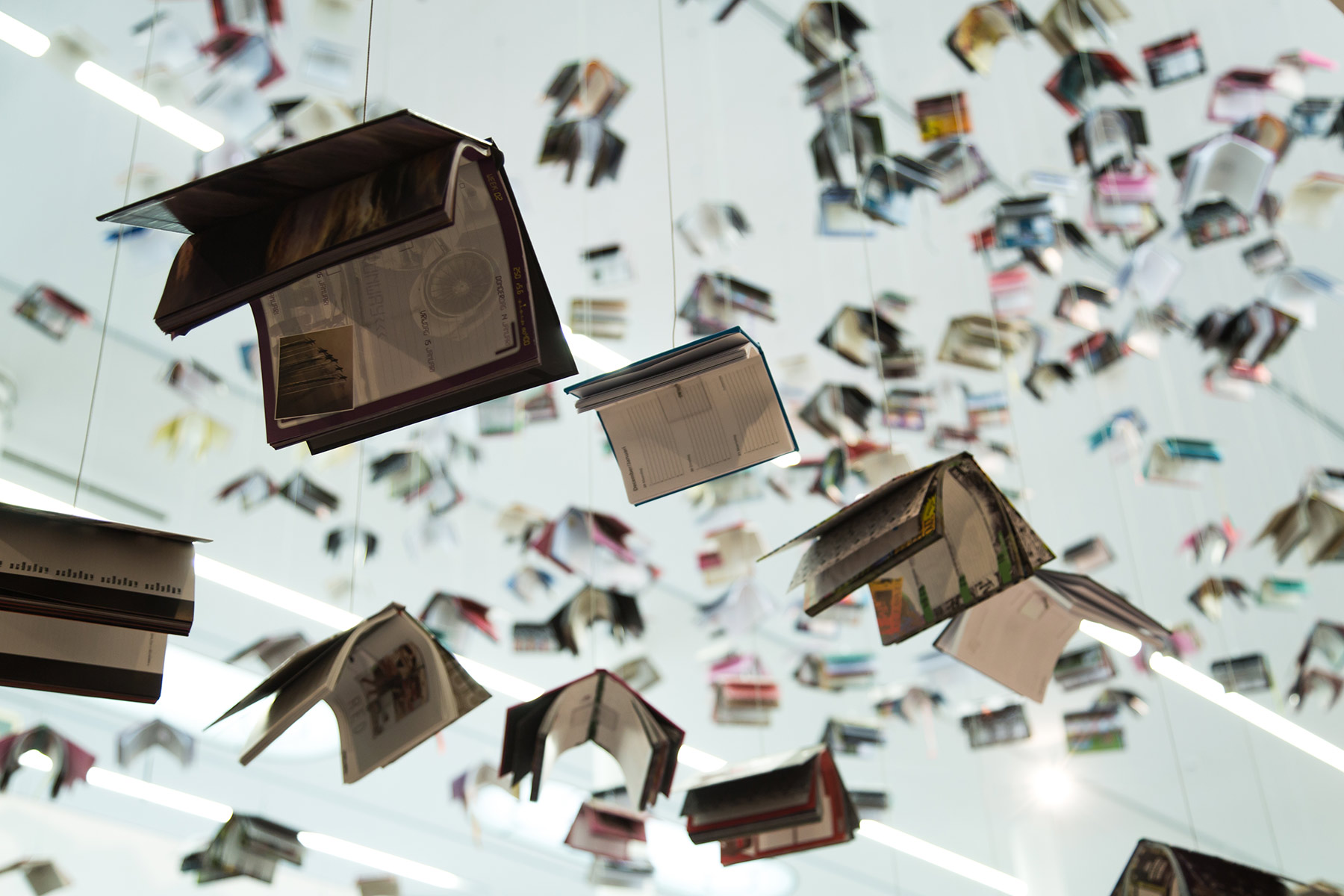 Tentoonstelling: Grow up - onderwijsmuseum Dordrecht