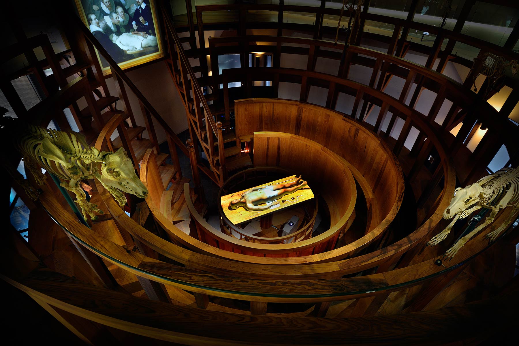 Boerhaave - Anatomisch Theater