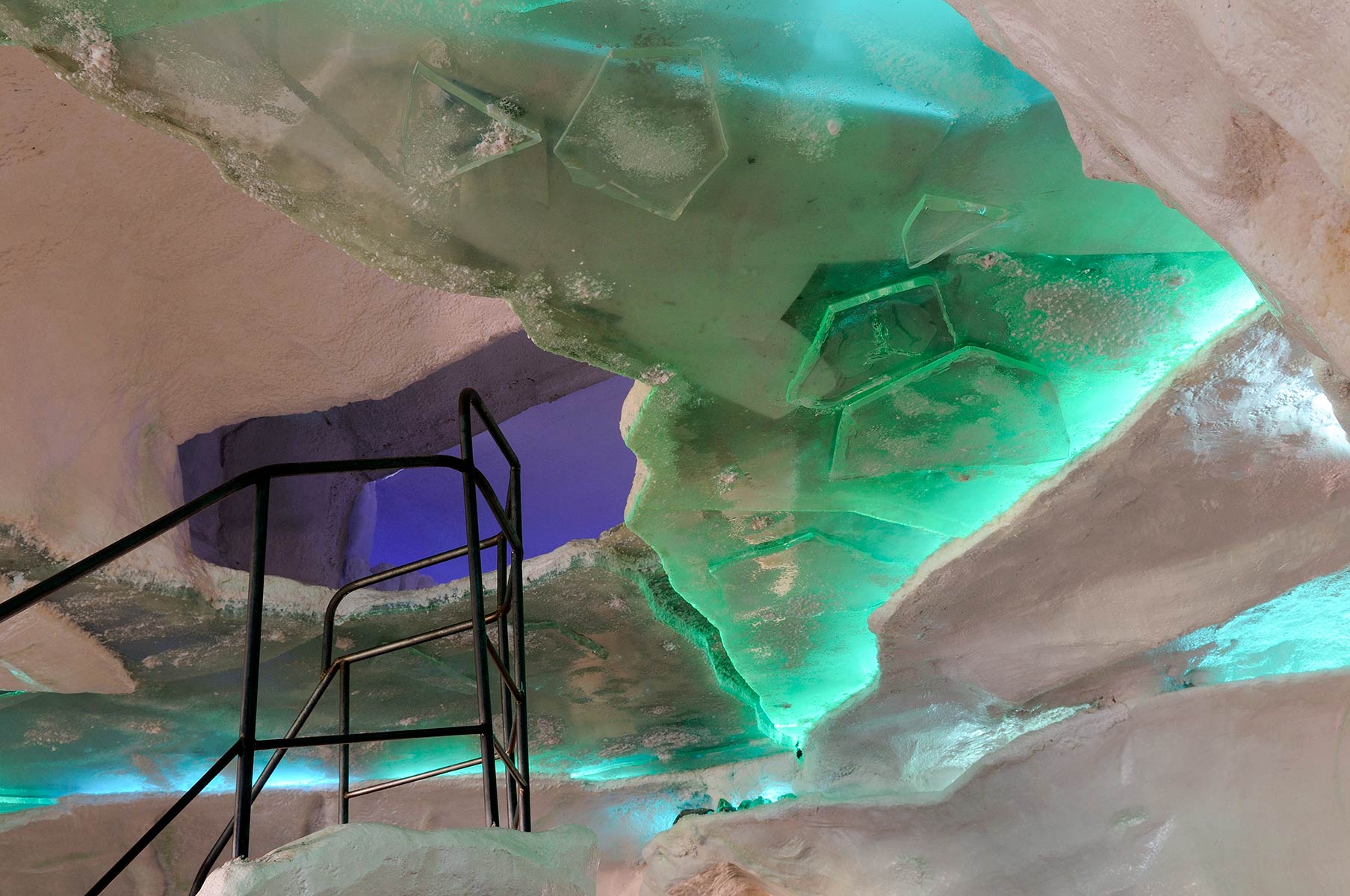Diergaarde Blijdorp - Arctica