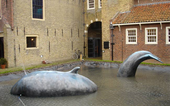 Walvis Zuiderzeemuseum 