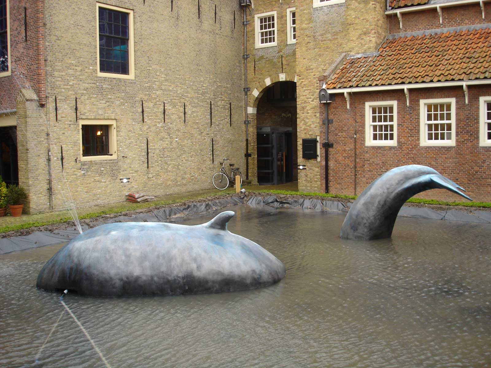 Zuiderzeemuseum - Walvis