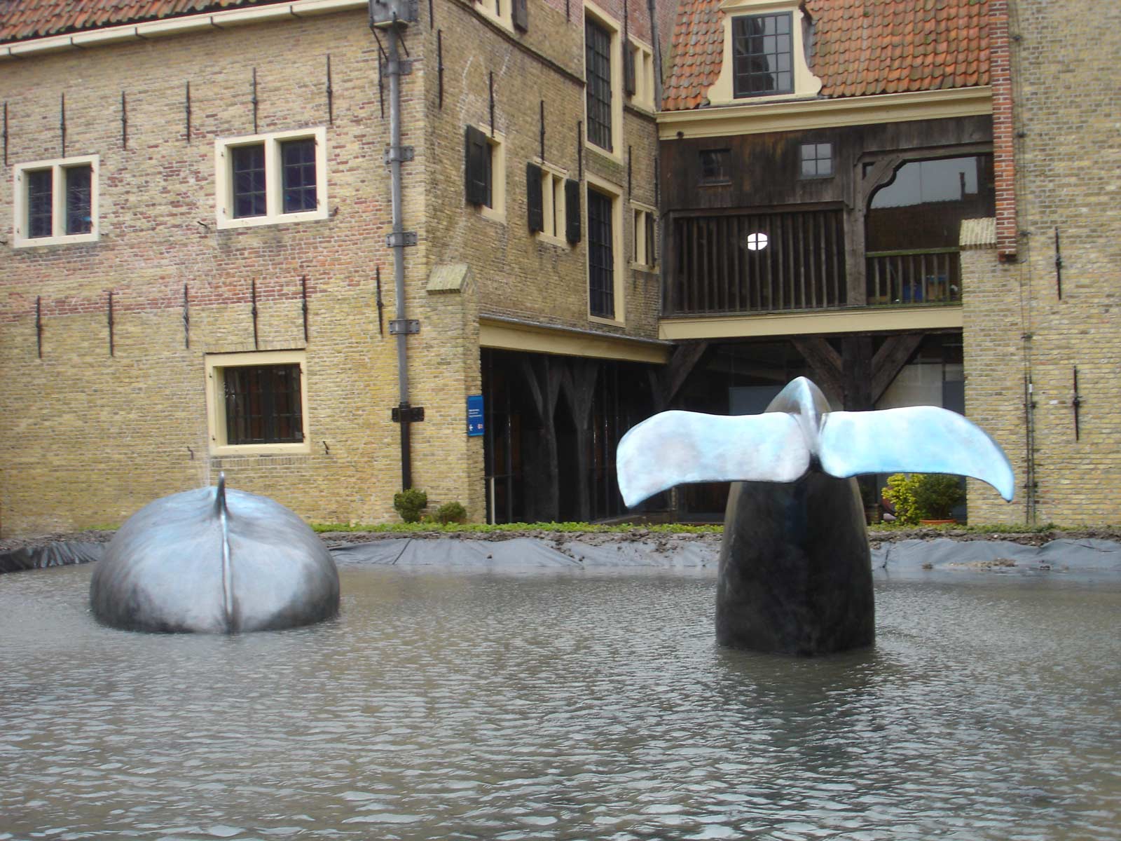 Zuiderzeemuseum - Walvis