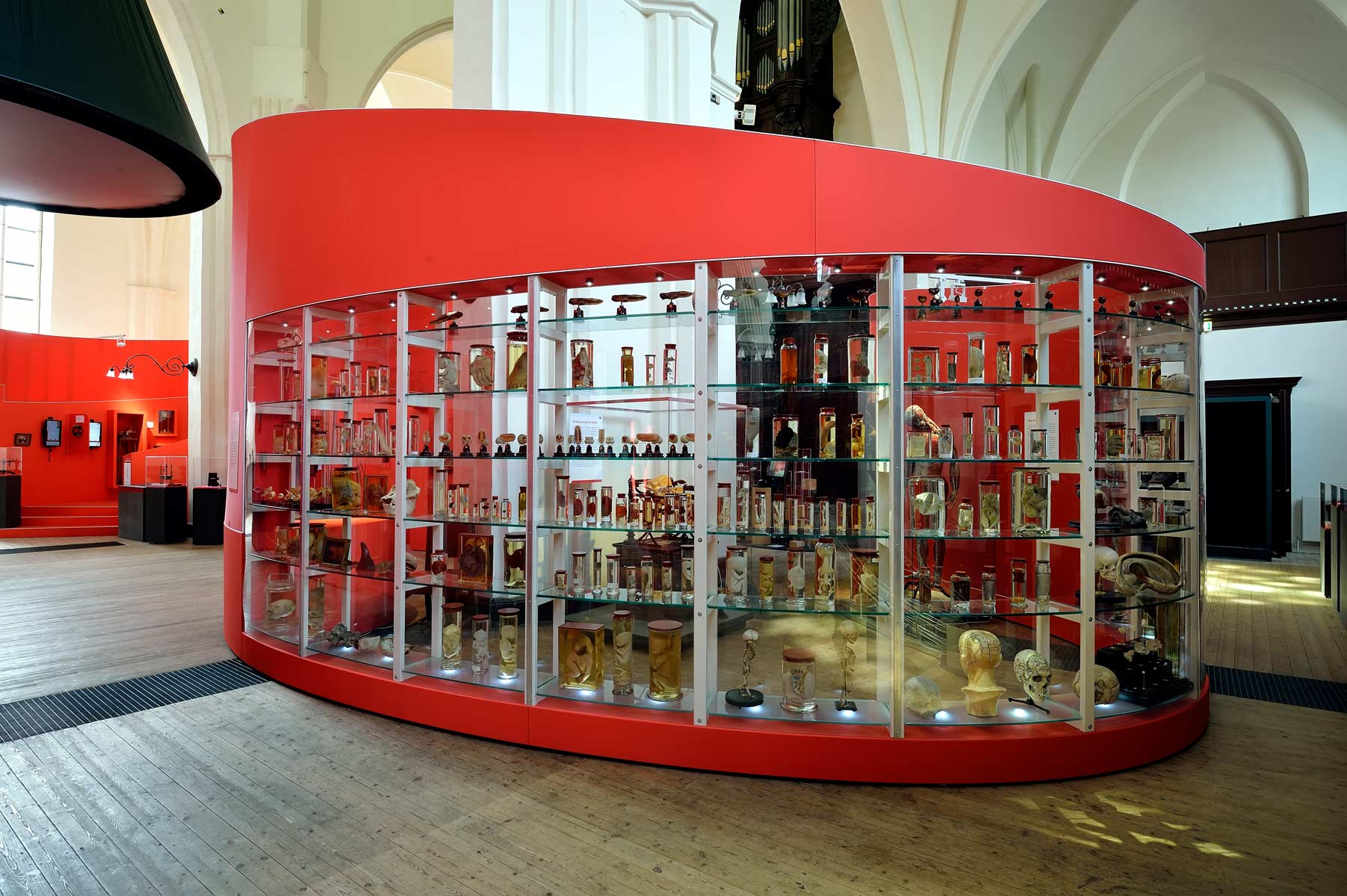Tentoonstelling "400 jaar wetenschap" Universiteitsmuseum Groningen - AA Kerk Groningen