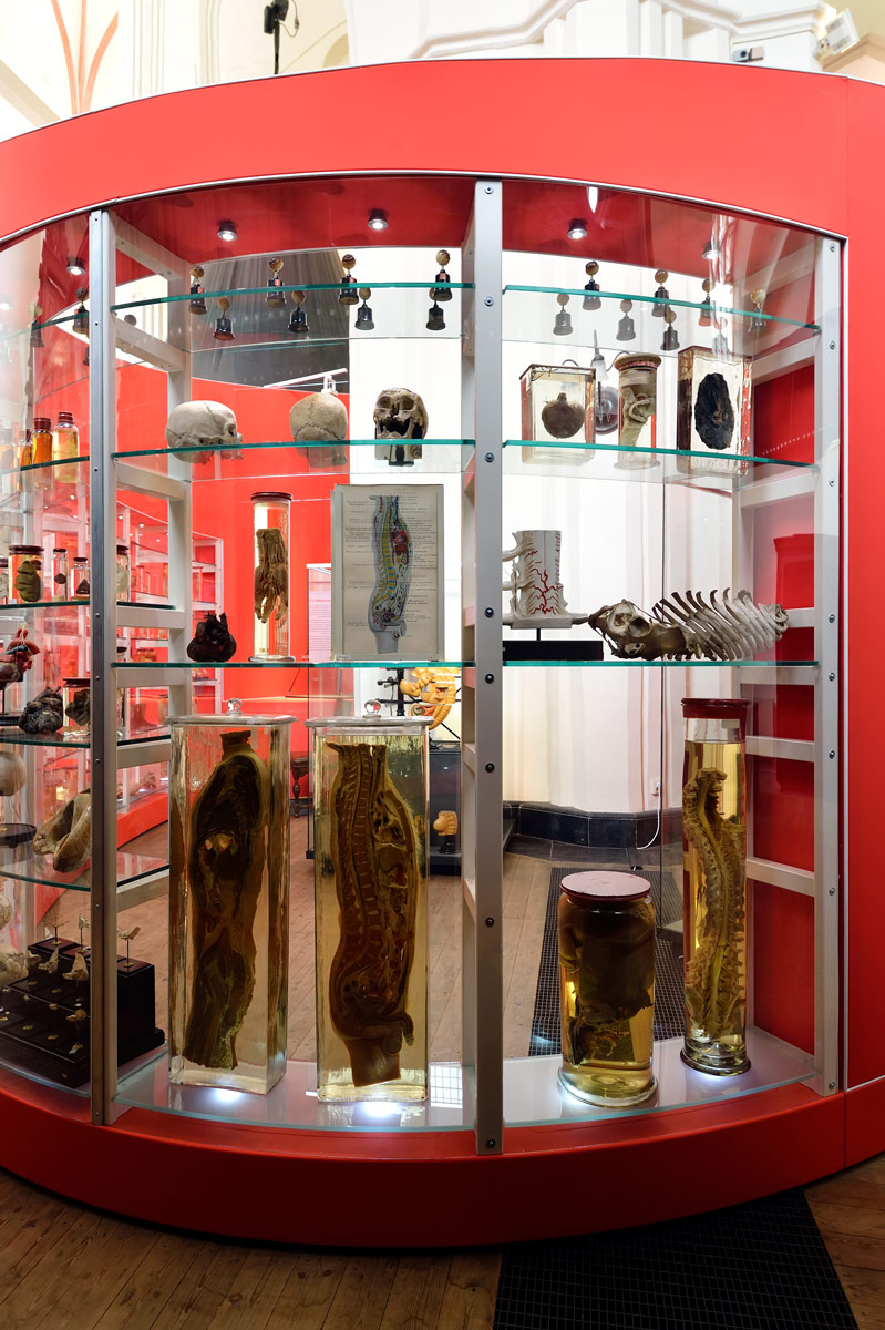 Tentoonstelling "400 jaar wetenschap" Universiteitsmuseum Groningen - AA Kerk Groningen