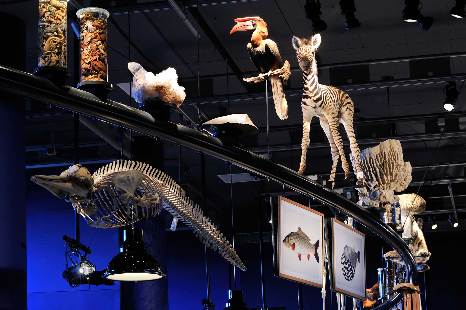 LiveScience - Naturalis