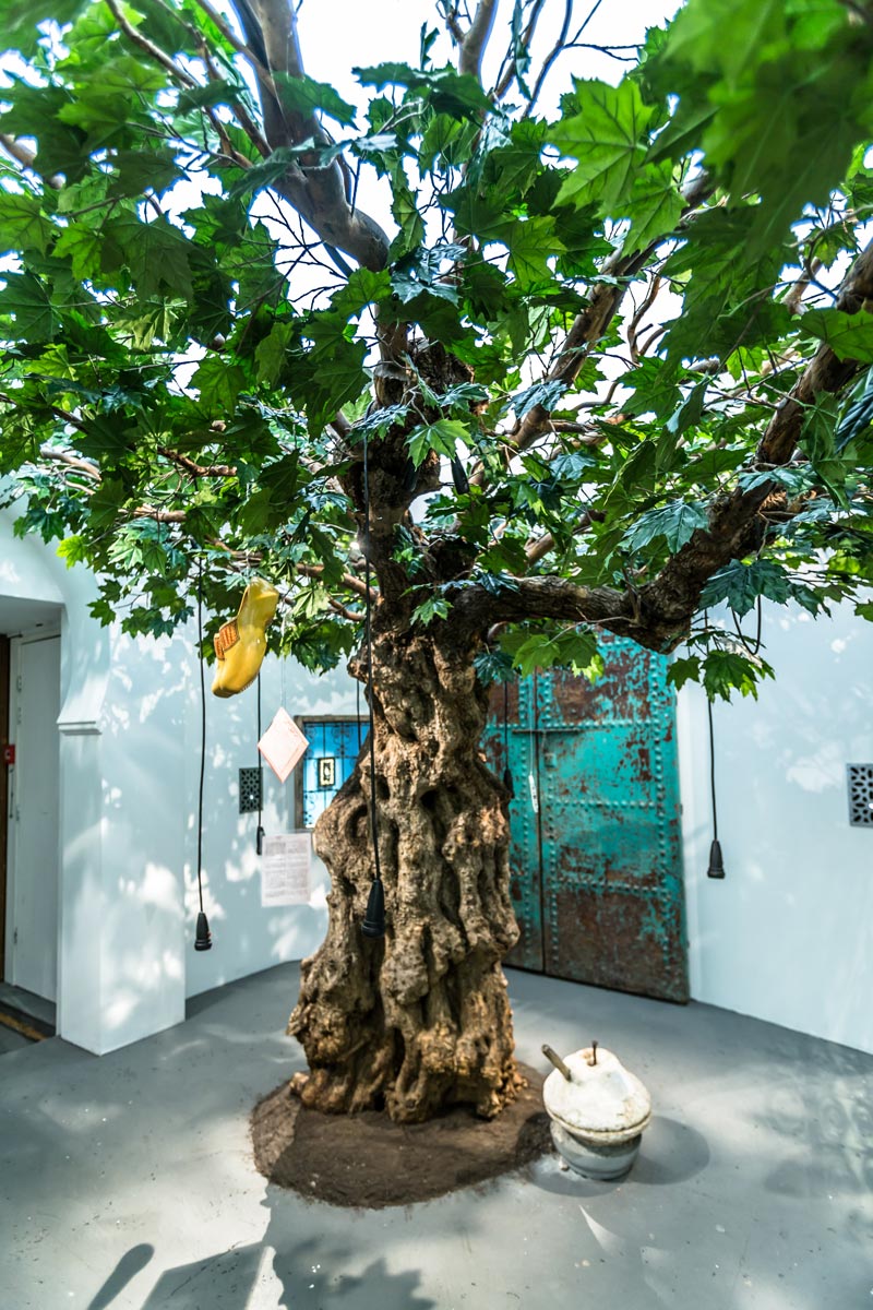 ZieZo Marokko - Tropenmuseum