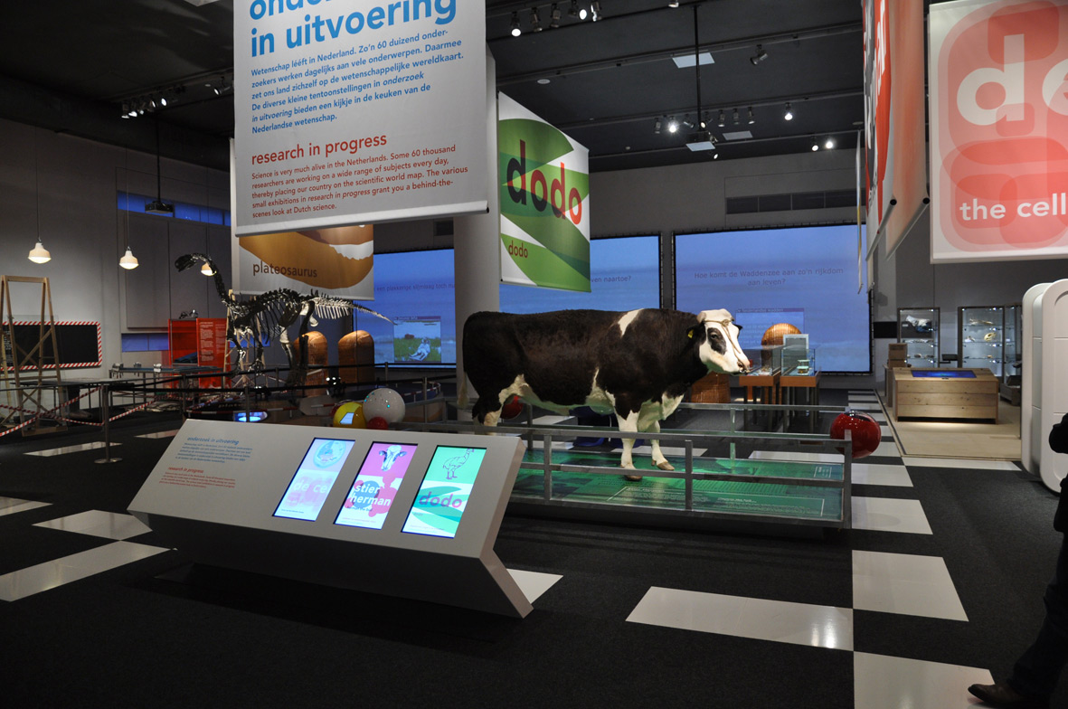 Tentoonstelling: Onderzoek in Uitvoering - Stier Herman / 2007 / Ontwerp: Kinkorn