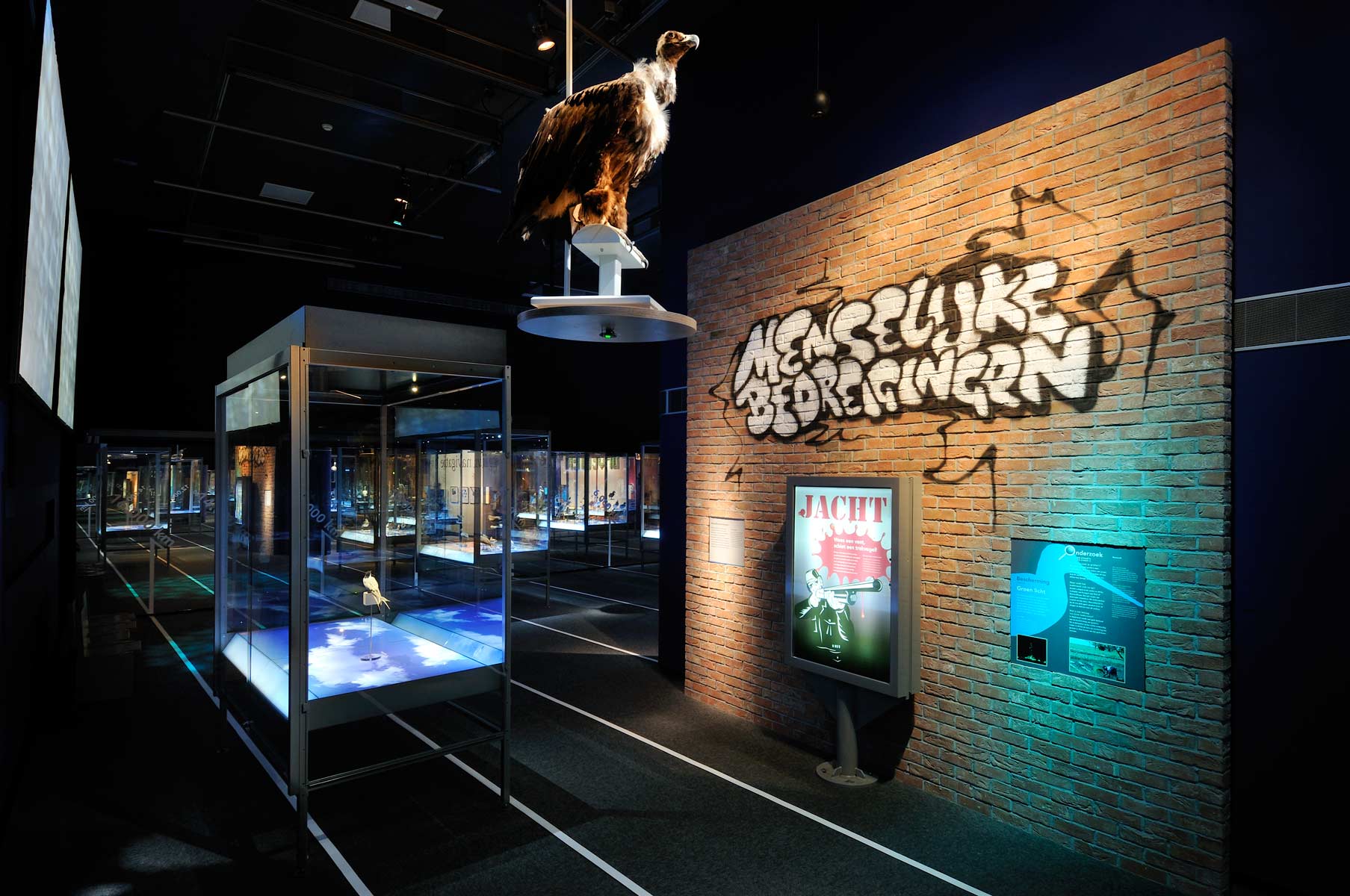 Tentoonstelling: 'Opvetten en wegwezen!' / 2010