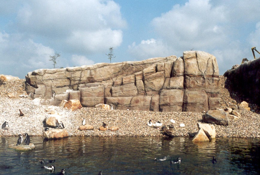 Noorderdierenpark Emmen - pinguin rots