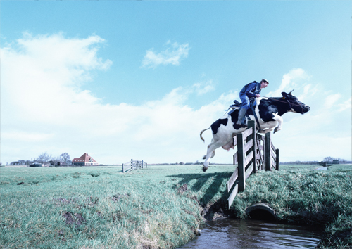 Campagne: Delta Lloyd