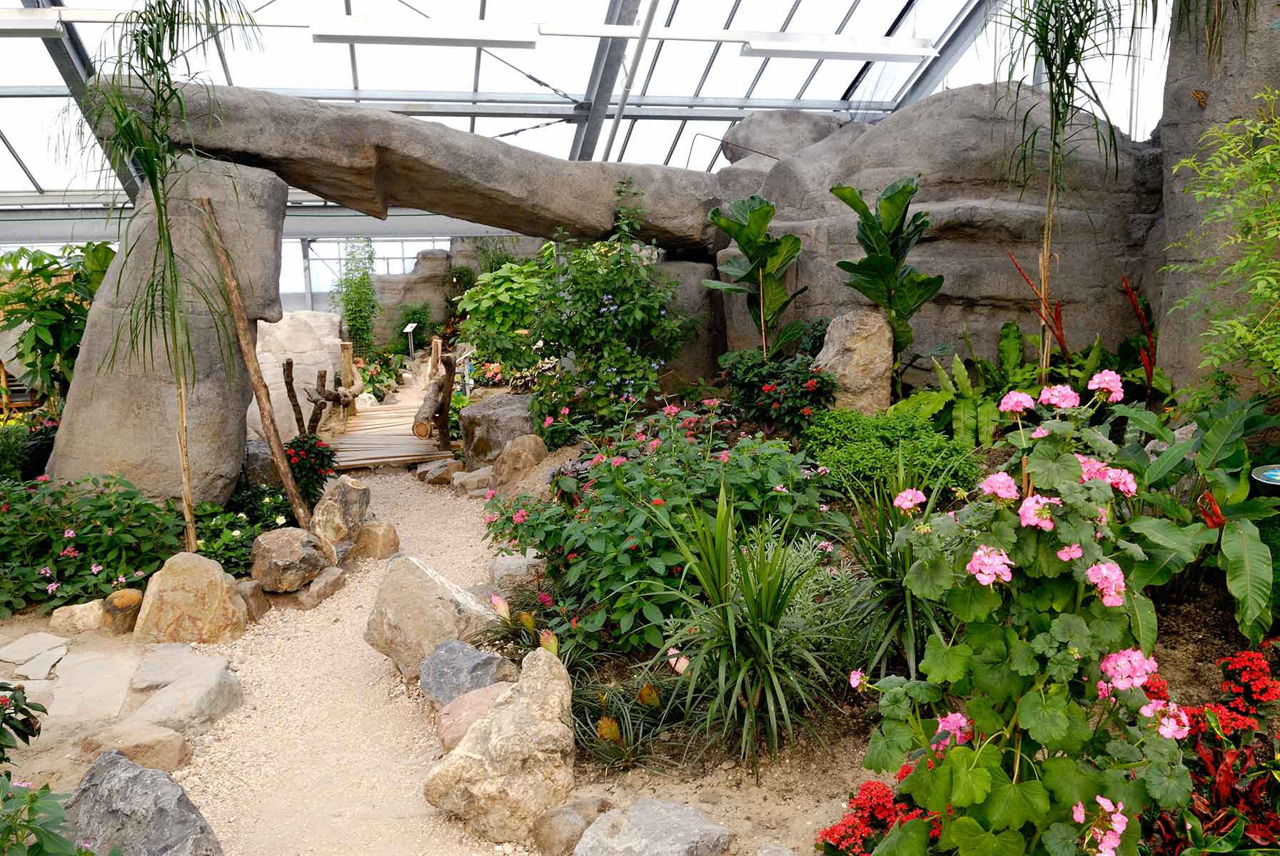 Rotsformatie Vlindertuin Orchideeenhoeve