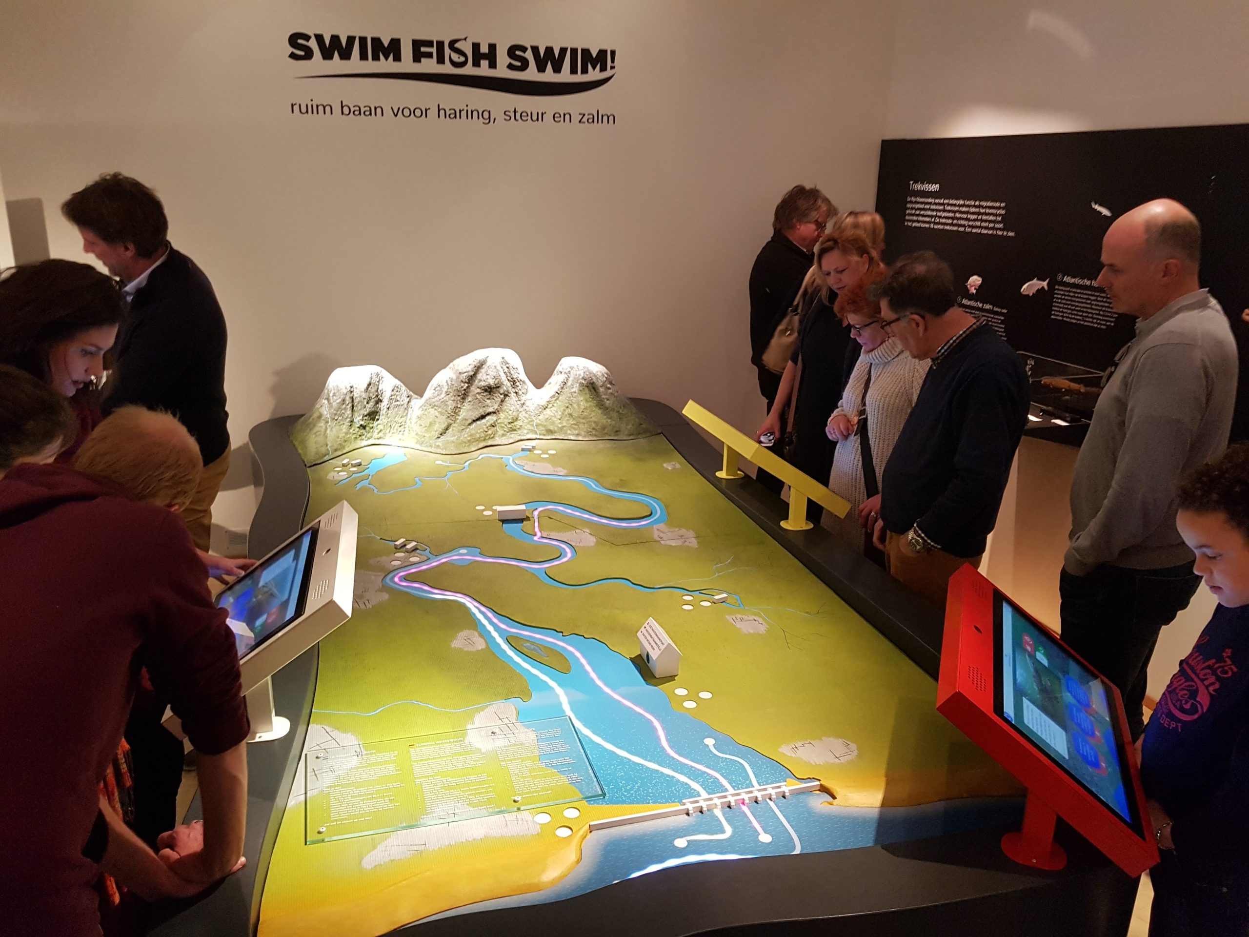 Swim, Fish, Swim!