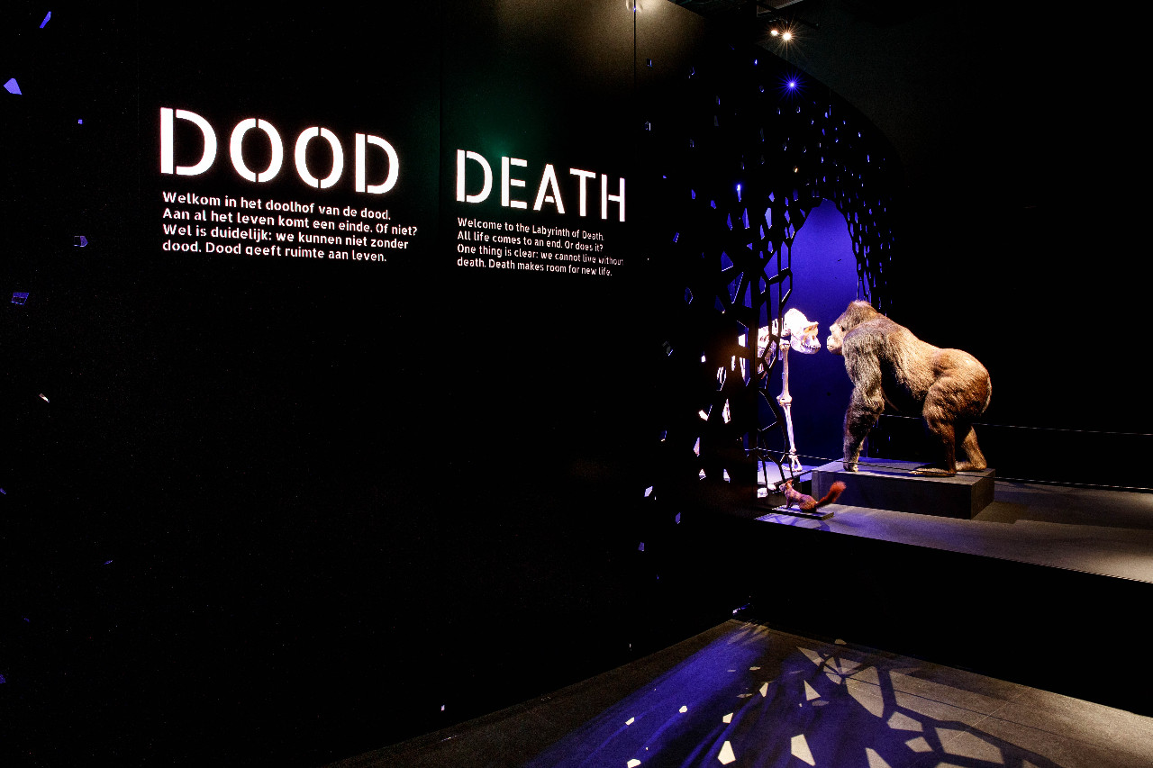 De dood – Naturalis Biodiversity Center