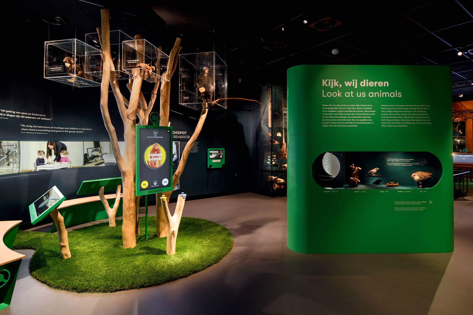 Universiteit museum Utrecht