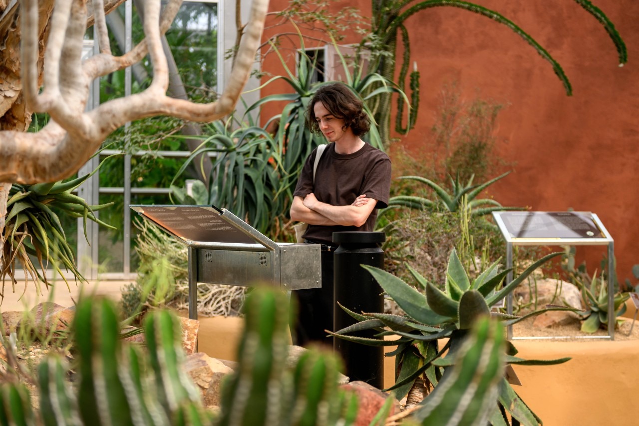 Hortus Botanicus Amsterdam