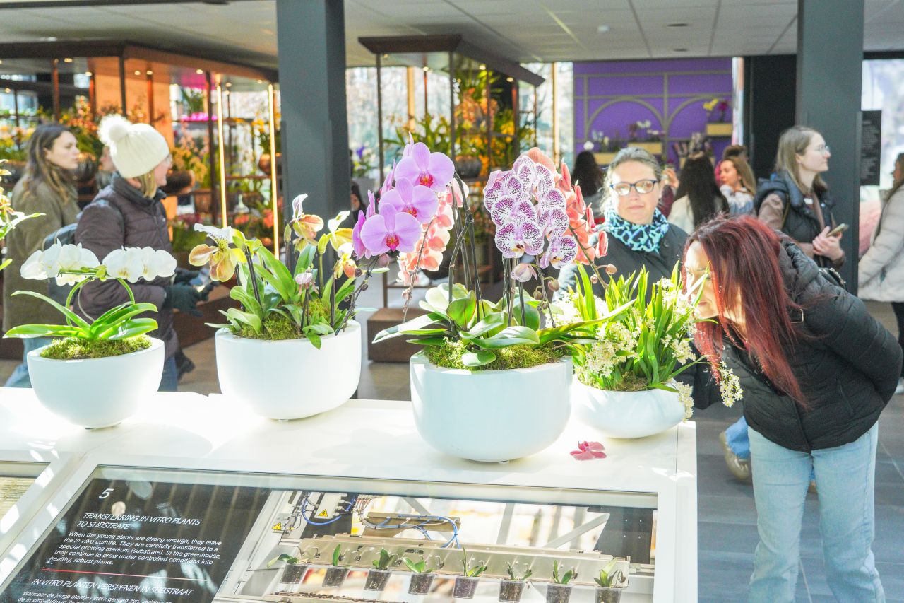 Juliana Paviljoen  Keukenhof