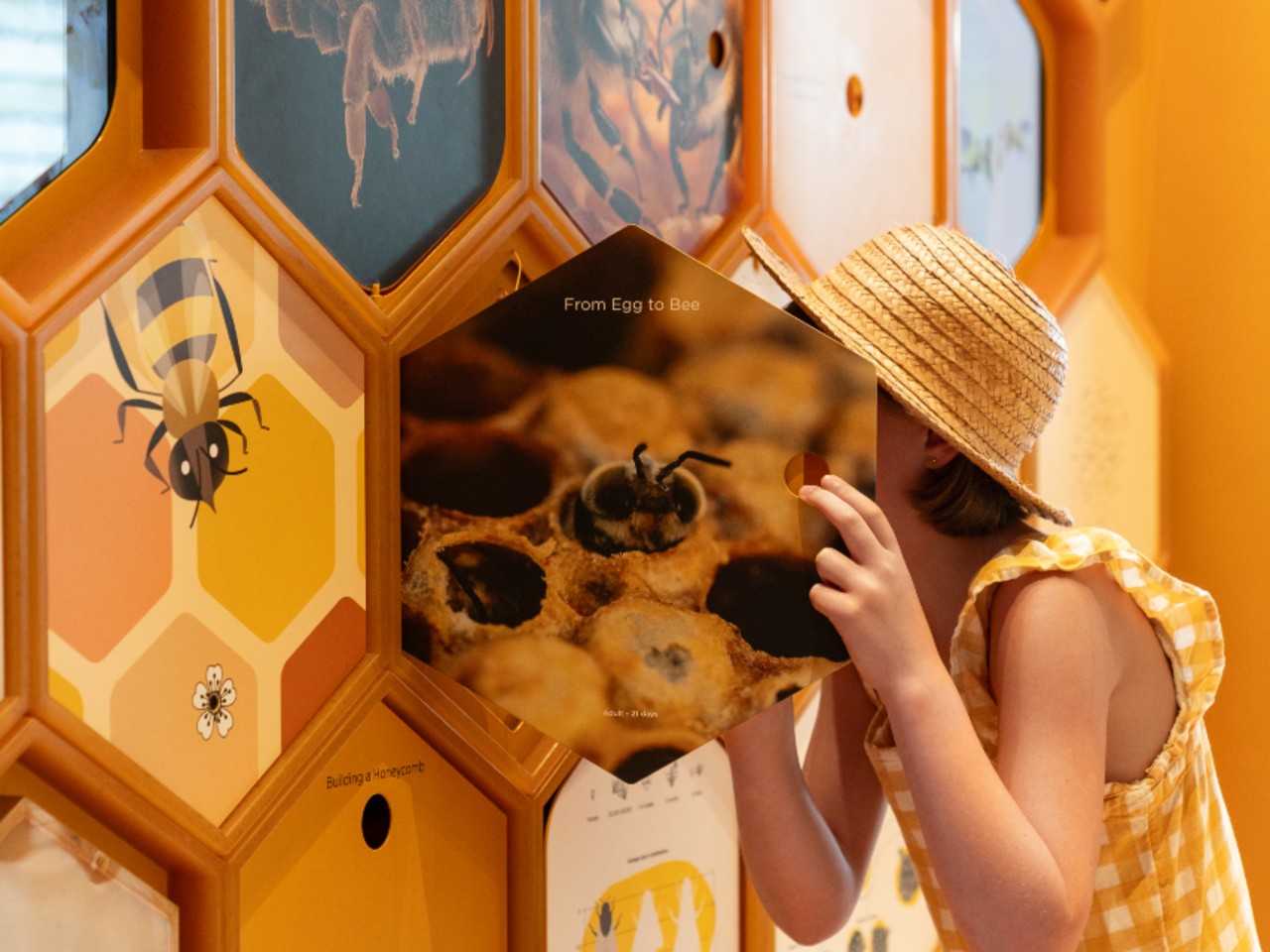 Byzantium – Babylonstoren, Zuid-Afrika