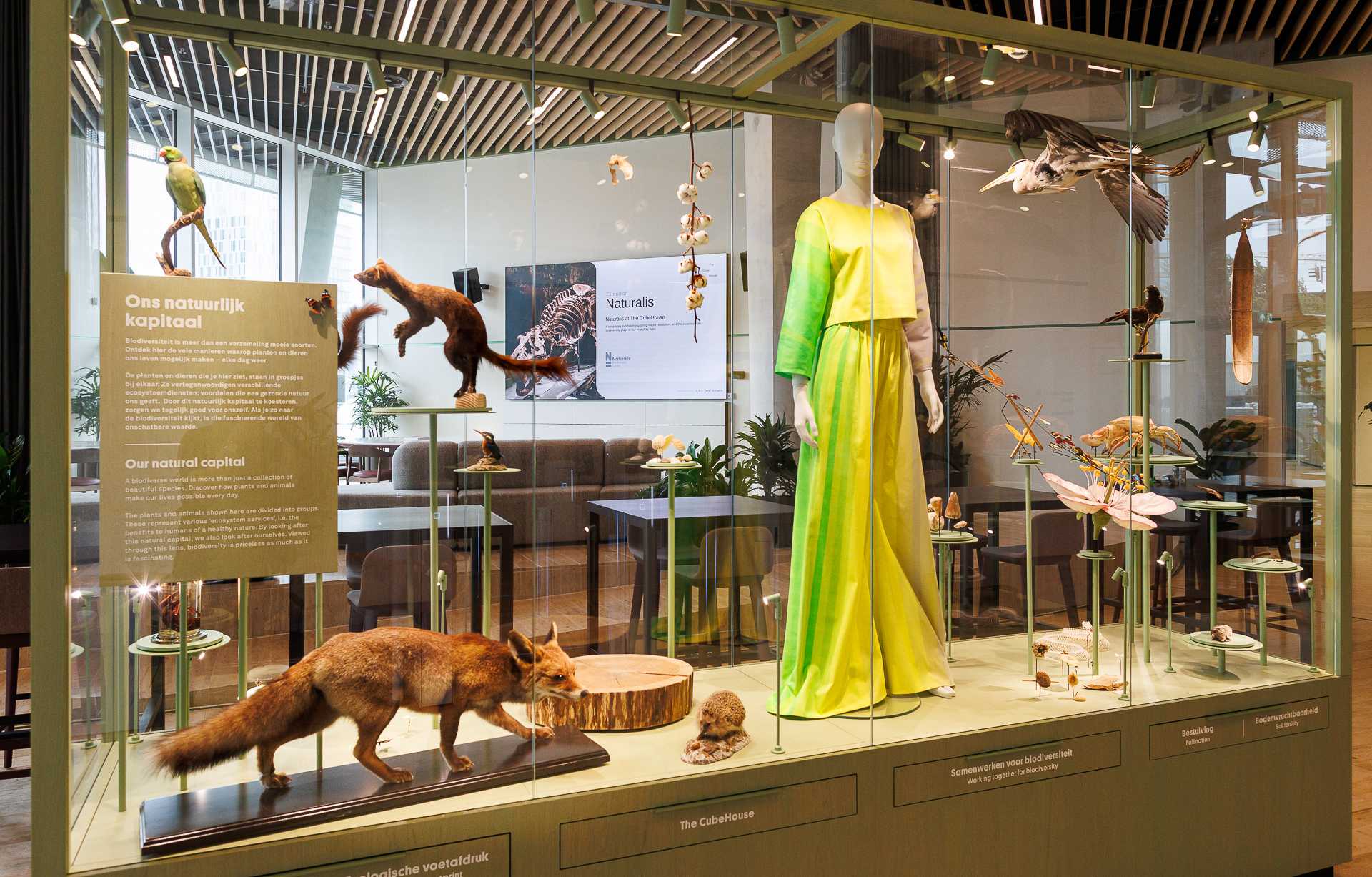 The CubeHouse – Naturalis